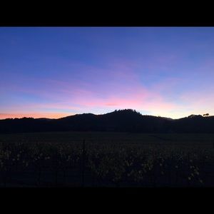 Meet your Posher, Gary